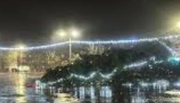 От сильного ветра пострадали свыше 50 населенных пунктов Беларуси